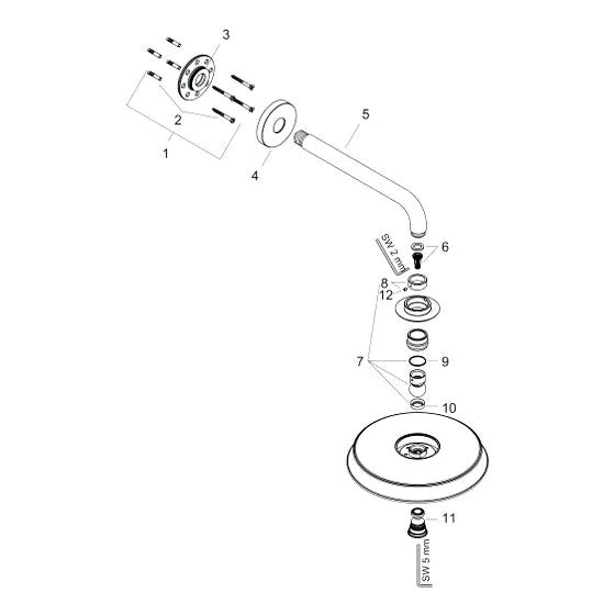 Hansgrohe Raindance Classic hoofddouche 210 mm met douchearm, Geborsteld nikkel