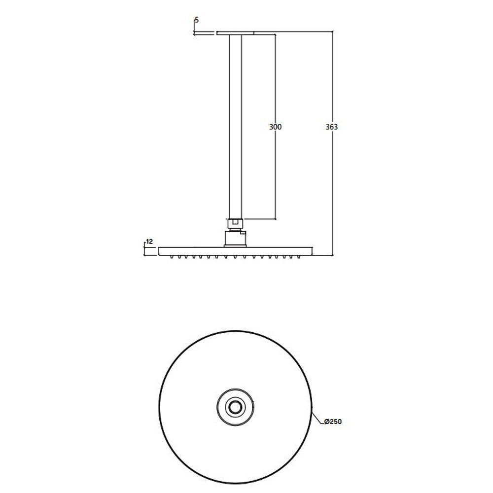 Waterevolution hoofddouche Ø250 mm met plafondbevestiging, Chroom