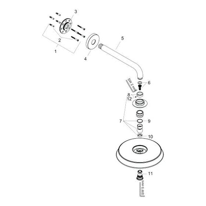 Hansgrohe Raindance Classic hoofddouche 210 mm met douchearm, Geborsteld nikkel