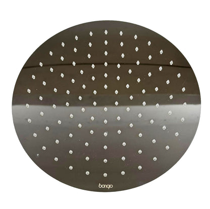 Bongio Wellness hoofddouche Ø300 mm ultra plat, Gepolijst RVS