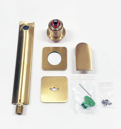 Treemme Ran design 2-gats inbouw wandmengkraan, geborsteld goud